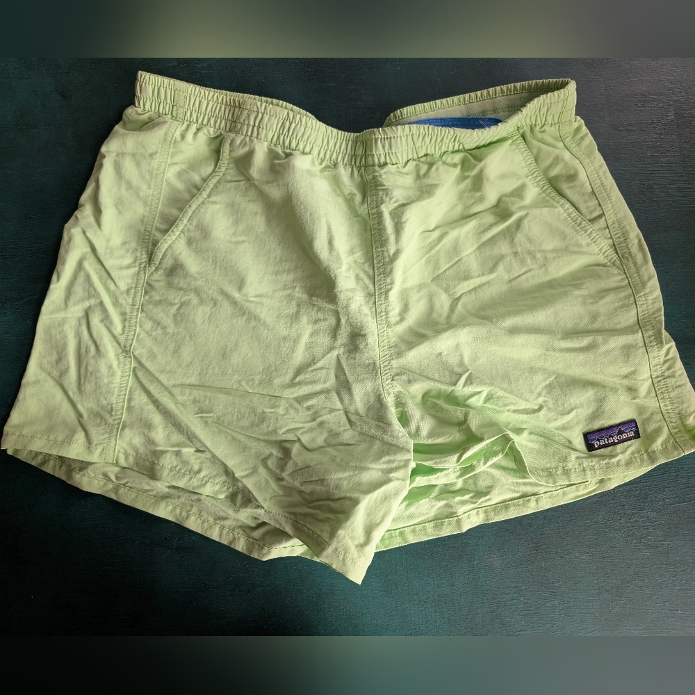 Patagonia 5" Baggies Salamander Green